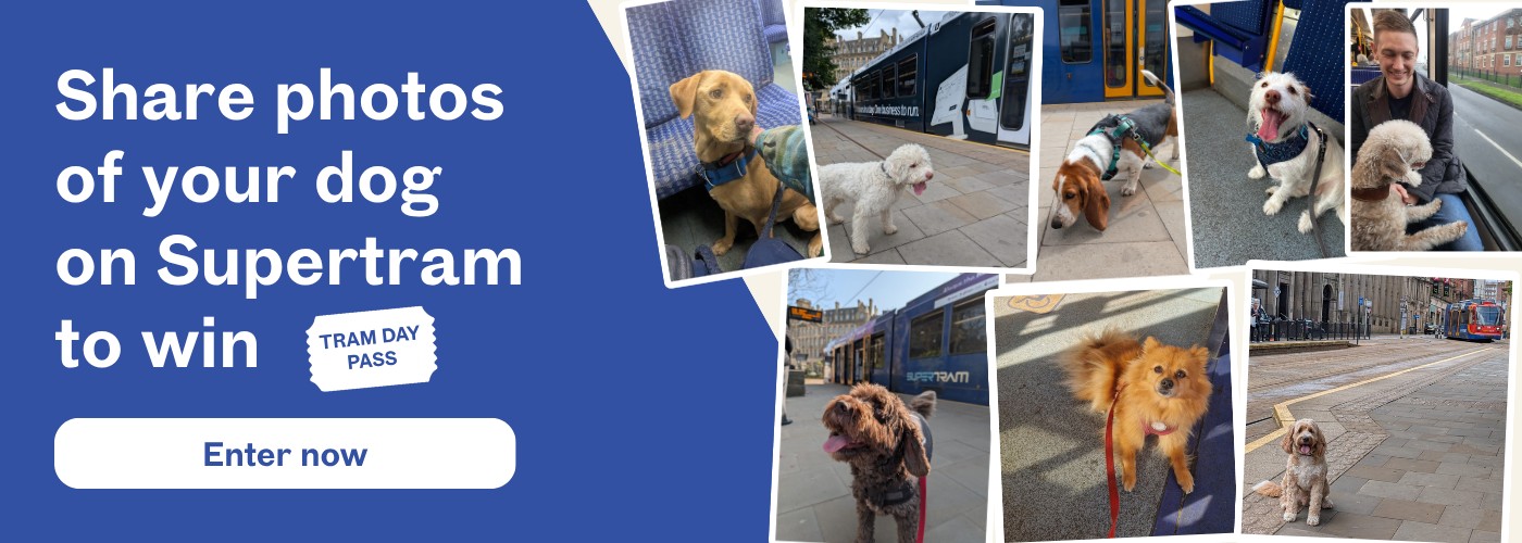 Share photos of you dog on Supertram (opens in a new tab)