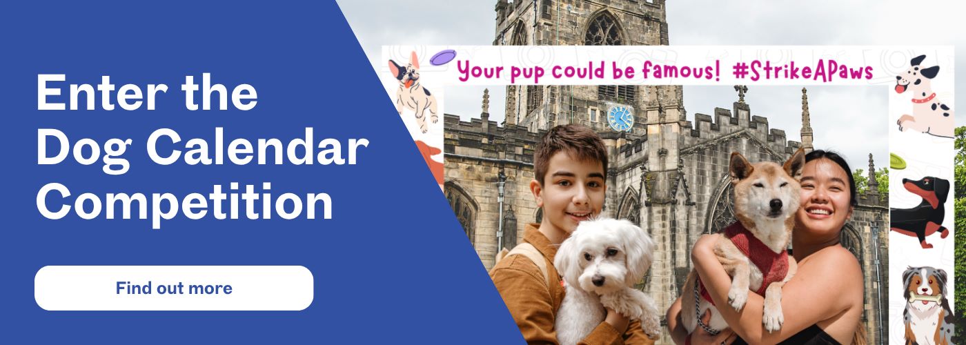 Enter the Dog Calendar Competition