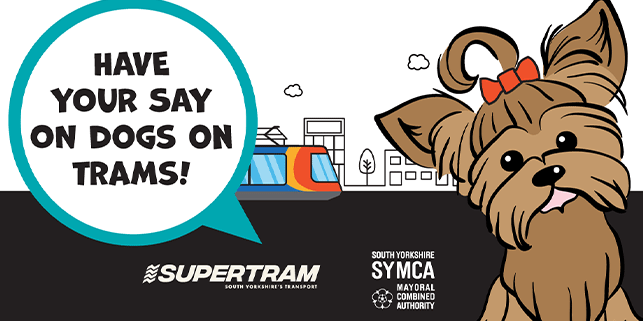 Dogs on trams?