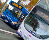 Driver shortages affecting some bus services