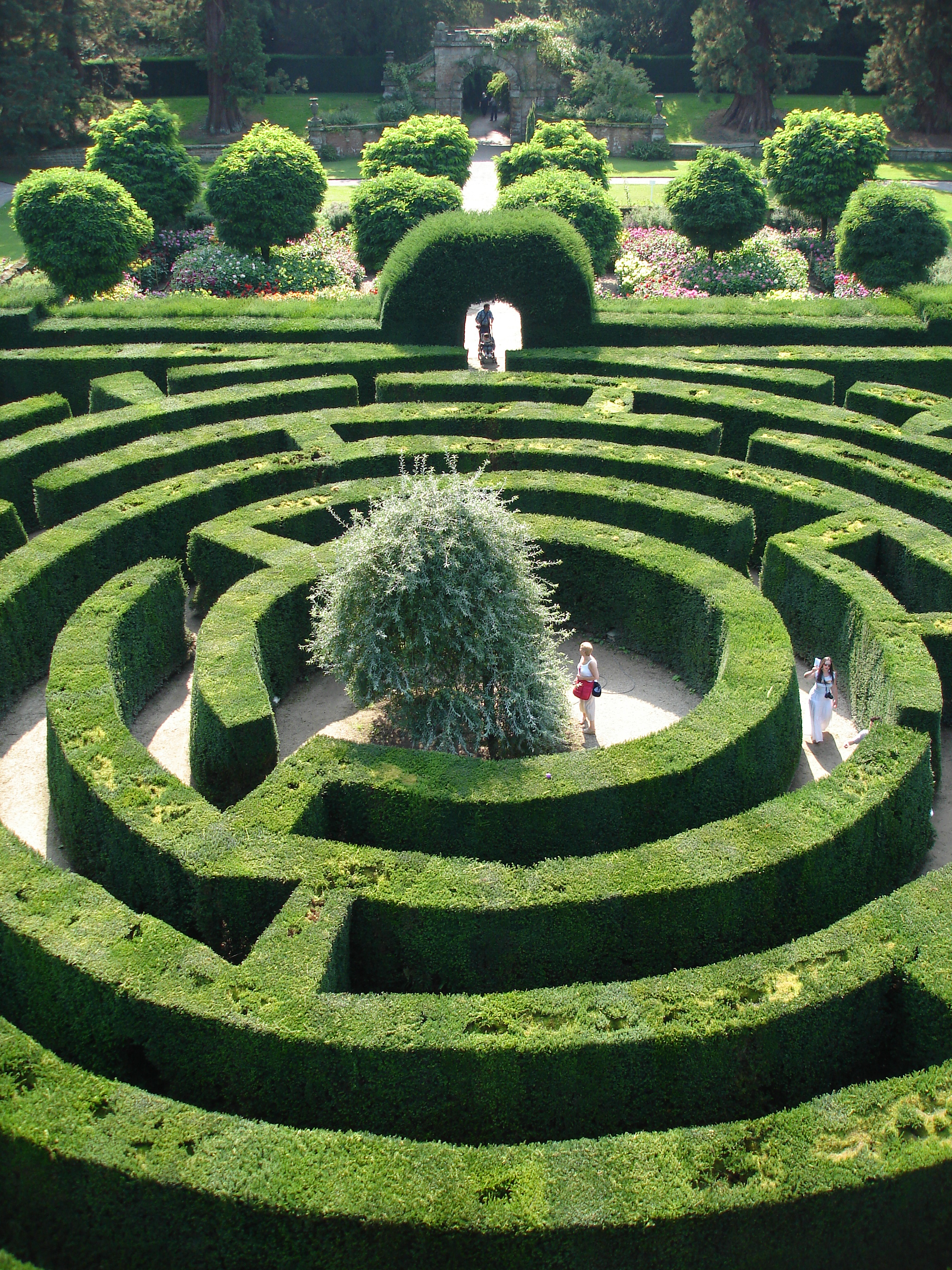 Chatsworth Maze photo courtesy of Chatsworth House Trust