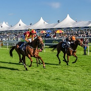 Doncaster Races