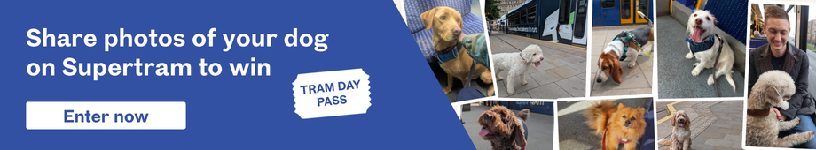 Share photos of your dog on Supertram to win (opens in a new tab)