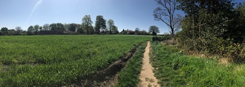 pathway track alongside fields with trees in distance