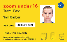 reverse of yellow zoom pass