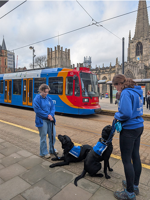 Two Support Dog volunteers with assistance dogs