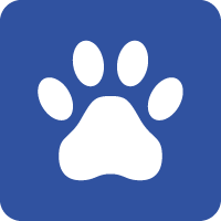 Dog paw icon