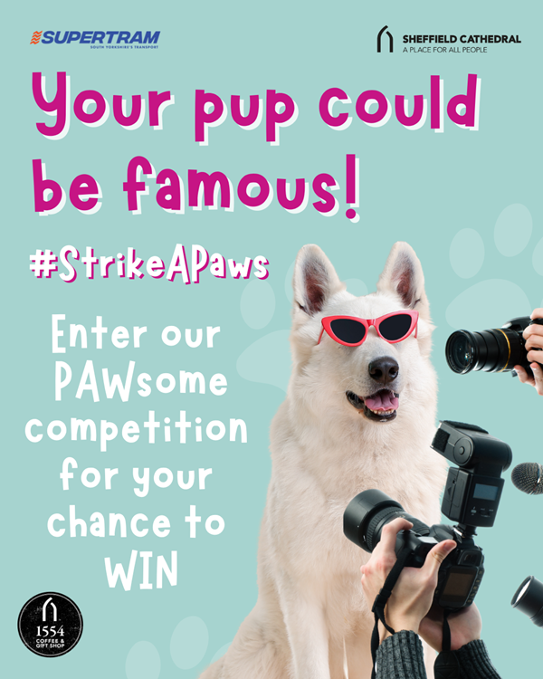 Pawsome Competition