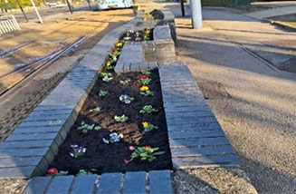 Middlewood planting activity