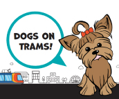 Dogs on trams trial launched