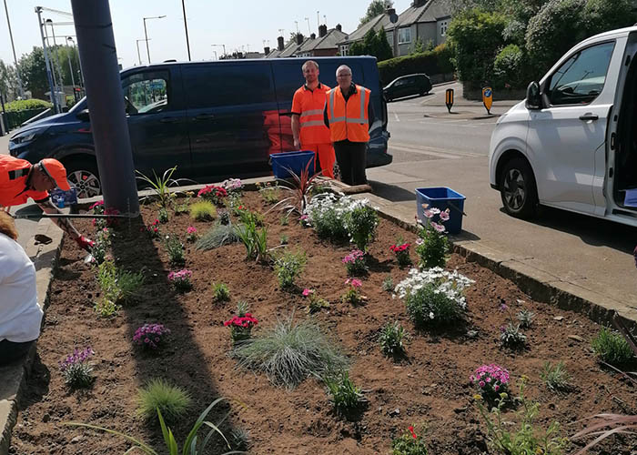Planting flowers at Middlewood Community Programme