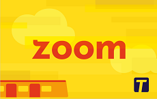 front of new yellow zoom under 16 card